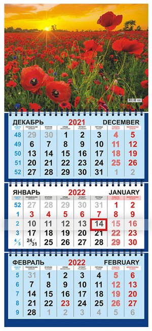 Квартальный календарь на 2022 год "Маки"