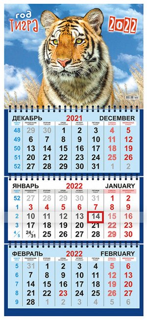 Квартальный календарь на 2022 год "Символ года - Тигр"