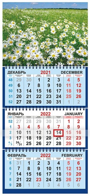 Квартальный календарь на 2022 год "Ромашки"