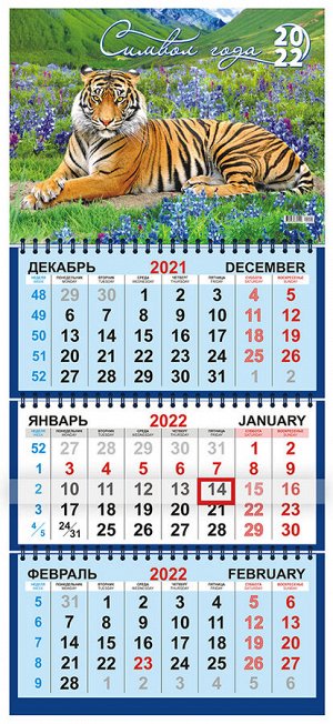 Квартальный календарь на 2022 год "Символ года - Тигр"