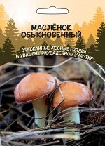 Грибы Масленок Обыкновенный (ССПК) (Очень вкусный, используется в свежем, жаренном, соленом, маринованном виде)