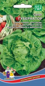 Салат Губернатор (Марс) Новинка! (среднеспелый,до200гр,кочанный,листья светло-зеленые,высокоурожайный,устойчив к растрескиванию)