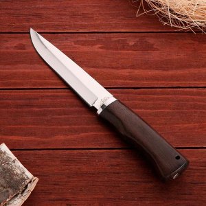 Нож охотничий "Эрни", лезвие 14 см, в чехле, деревянная рукоять, микс