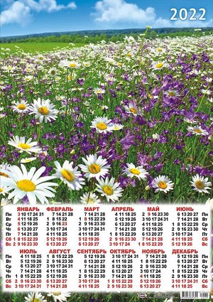 Листовой календарь на 2022 год А2 "Полевые цветы"