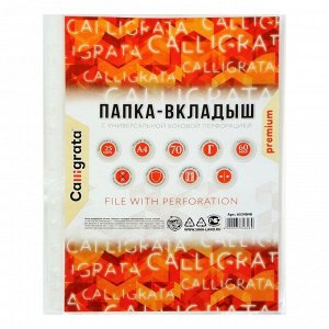 Файл-вкладыш А4, 60 мкм, Calligrata, глянцевый, вертикальный, 25 штук, плотные