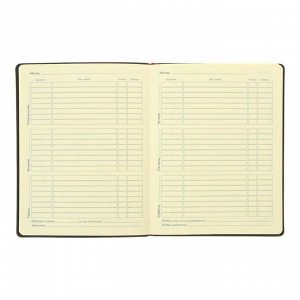 Дневник универсальный для 1-11 классов "Футбол", интегральная обложка, ляссе, 48 листов