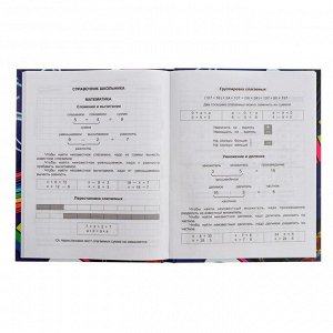 Дневник для 1-4 классов "Мальчики", твёрдая обложка, матовая ламинация, 48 листов, МИКС