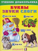 БУКВЫ, ЗВУКИ, СЛОГИ.