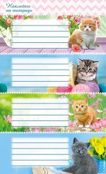 Наклейки на тетрадь &quot;Кошки&quot;