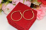 Серьги-кольца &quot;Жаркая Африка&quot; 2,0 см (д9)
