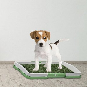 Домашний туалет для собак и кошек Puppy Potty Pad