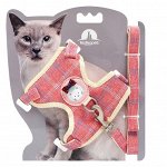 😺 Ушки, лапки, хвостики. Популярная закупка для любимцев