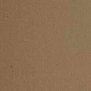 Крафт-бумага для графики, эскизов, печати, А4(210х297мм), 80г/м2, 200л, BRAUBERG ART CLASSIC,112485