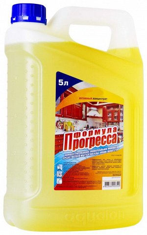 Моющее средство универсальное КОНЦЕНТРАТ "Формула прогресса", 5л (4 кон в кор) Аквагель