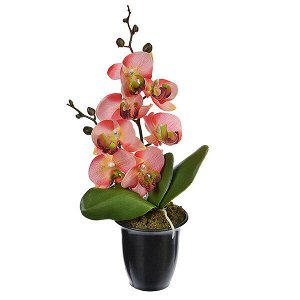 Цветы в горшке  "В виде Орхидеи" 23см