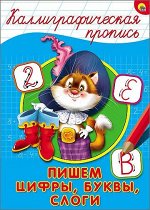 Каллиграфическая пропись А4 Пишем цифры, буквы, слоги