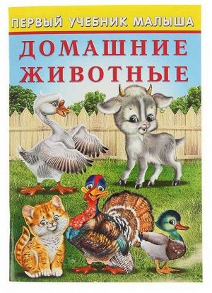ДОМАШНИЕ ЖИВОТНЫЕ