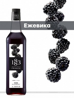 Сироп 1883 Maison Routin "Ежевика",  1л