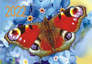 Карманный календарь на 2022 год "Бабочки"
