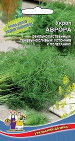 Укроп Аврора (Марс) (кустовой,холодостойкий, долго не зацветает, мощный куст)
