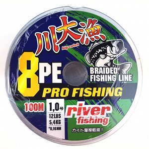 Плетеный шнур Pro Fishing №1.0 (100м, 12Lb, 5,4кг, 0,165мм, 8PE, green)