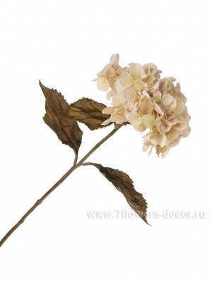 Гортензия 69 см цветок искусственный цвет кремовый ткань ВЕ-007-02