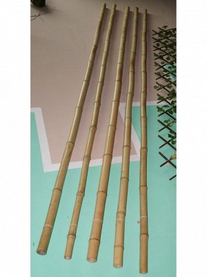 Бамбук ствол D - 3см- 4,5см длина 280см
