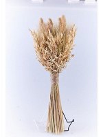 Букет из сухоцветов пшеница чумиза овес бессмертник 17,5 х 13 х 51 см