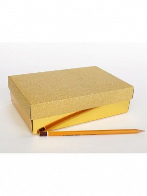 Коробка складная 20 х 13 х 5,5 см цвет золото 2 части HS-19-17