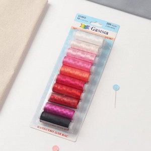 Гамма Нитки для вышивания №1, 183 м, 10 шт, цвет разноцветный