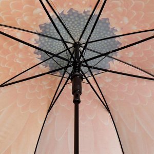 Зонт - трость полуавтоматический «Gerbera», 8 спиц, R = 45 см, цвет МИКС