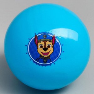 Мяч детский Paw Patrol &quot;Гончик&quot;, 16 см, 50 гр, цвета МИКС