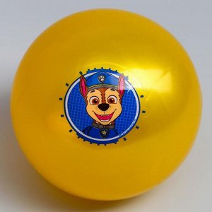 Мяч детский Paw Patrol &quot;Гончик&quot;, 16 см, 50 гр, цвета МИКС