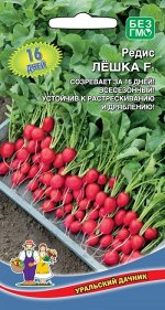 Редис Лёшка F1 (УД) (очень ранний,крупный,округлый,красный)