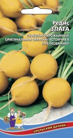 Редис Злата (УД) (средний,округлый,желтый,от 20 до 40 г,мякоть белая,нежная,сочная)
