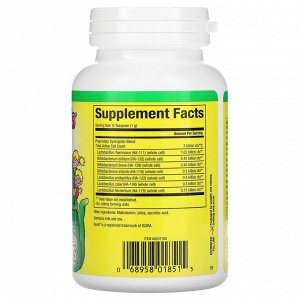 Natural Factors, BigFriends, Multi-Probiotic Powder, 3 Billion , 2 oz (60 g)