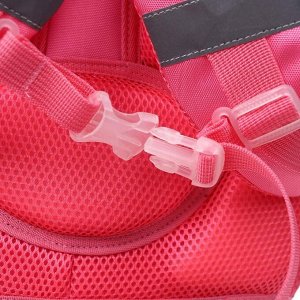 Рюкзак каркасный Calligrata, 39 х 28 х 18 см, «Фламинго» + мешок для обуви