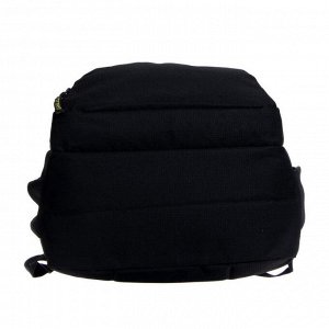 Рюкзак молодежный, Grizzly RU-802, 48x31x24 см, эргономичная спинка, отделение для ноутбука, чёрный/салатовый