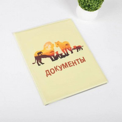 Папки для семейных документов
