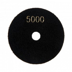 Алмазный гибкий шлифовальный круг ТУНДРА "Черепашка", для мокрой шлифовки, 100 мм, № 5000