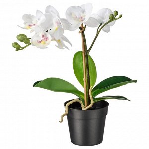 ФЕЙКА, искусственное растение в горшке, Орхидея белая, 9 см.