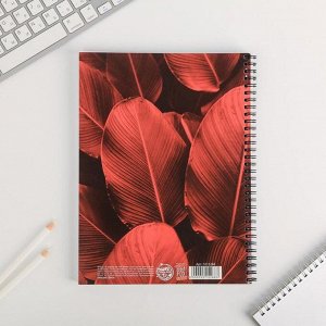 Колледж-тетрадь 120 листов на спирали Leaf
