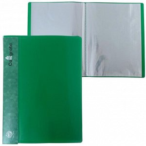 Папка 60 прозр вкладышей A4 500мкм Calligrata, карман на корешке, зеленый