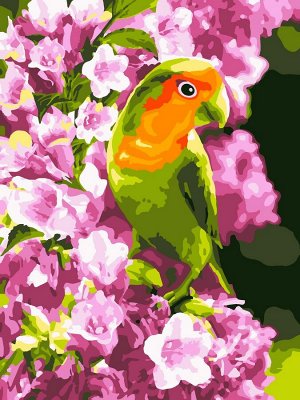 Набор для творчества LORI Картина по номерам "Весенний попугайчик"4