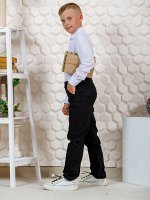 Брюки чиносы &quot;Александр&quot; черный