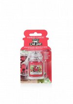 АРОМАТИЗАТОР ДЛЯ АВТО  Red Raspberry / Красная Малина Yankee Candle