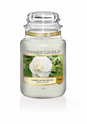 Цветущая камелия Camellia Blossom 623 гр / 110-150 часов Yankee Candle