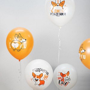 12"/30см WHITE&amp;ORANGE 1 ст. 2 цв. рис. Корги СДР 25шт