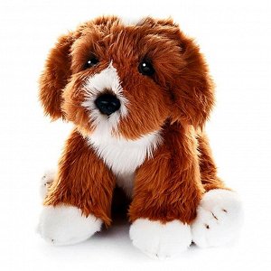 Мягкая игрушка «Собака Кавапу» , 30 см