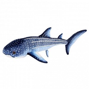 Мягкая игрушка «Акула китовая», цвет серый